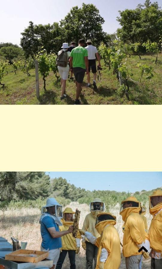 הוילה Grottole Casa Vacanza Kruptai 2019 מראה חיצוני תמונה